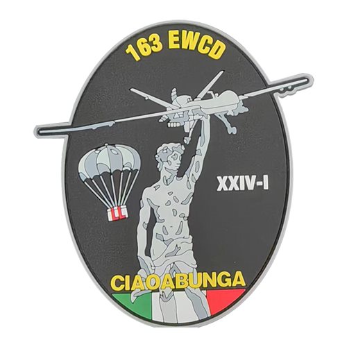 163 EWCD Custom Patches | 163rd Electromagnetic Warfare Combat ...