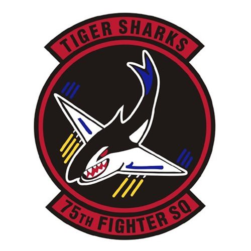 75 FS Custom Patches | 75th Fighter Squadron Patches