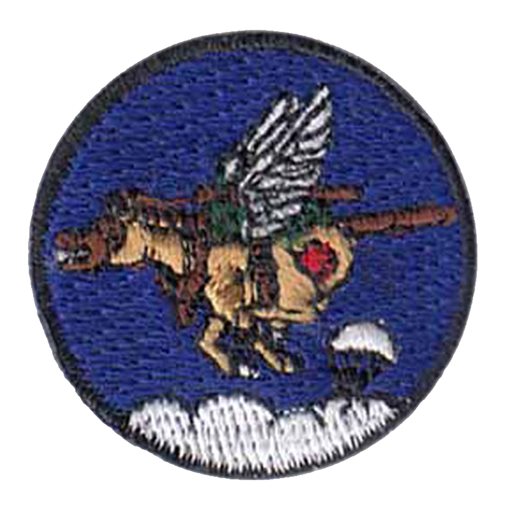 8 AS Mini Patch