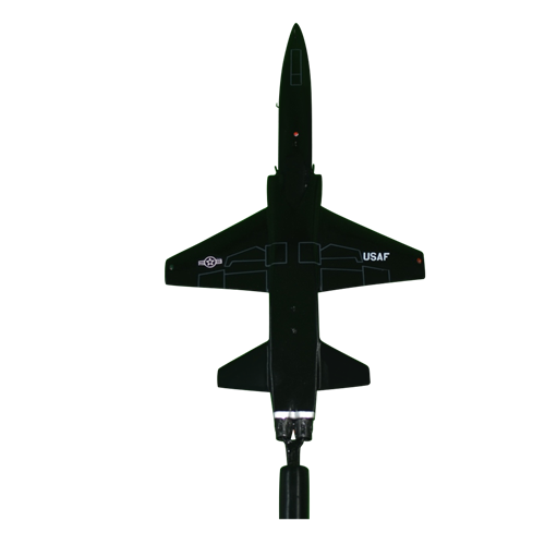 71 FTS T-38 Custom Airplane Briefing Stick  - View 5