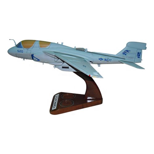 VAQ-142 EA-6B Custom Airplane Model  - View 2