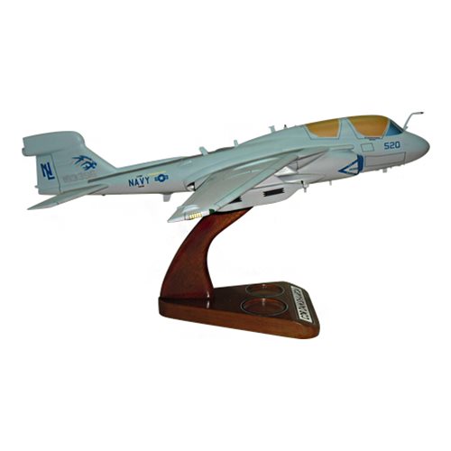 VAQ-142 EA-6B Custom Airplane Model  - View 4