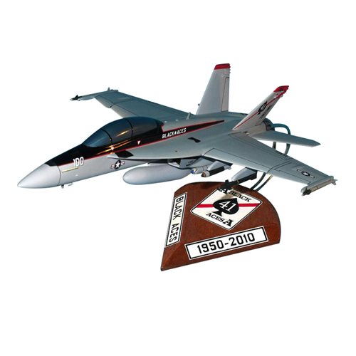 VFA-41 F/A-18E/F Custom Airplane Model 