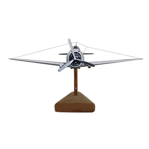 Custom P-36 Hawk  Airplane Model - View 3