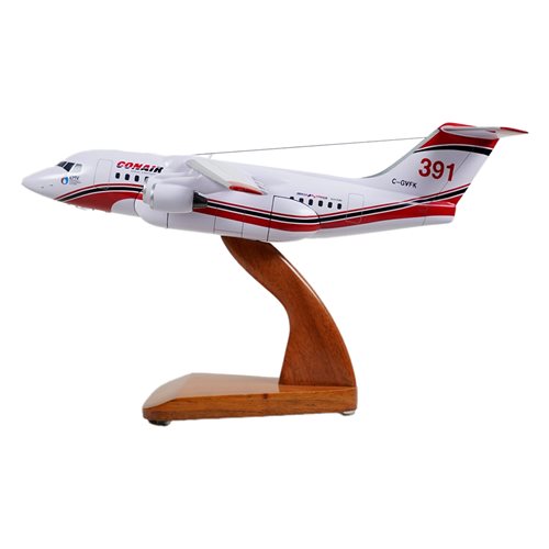 Avro RJ85 Custom Aircraft Model - View 2