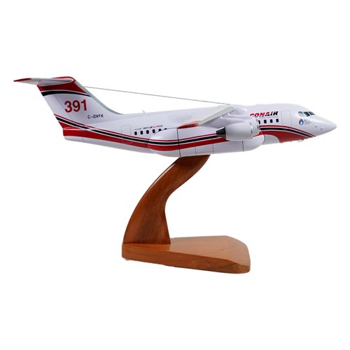 Avro RJ85 Custom Aircraft Model - View 4