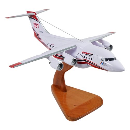 Avro RJ85 Custom Aircraft Model - View 5