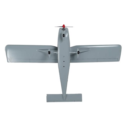 Tecnam P92 Eaglet Custom Aircraft Model - View 7