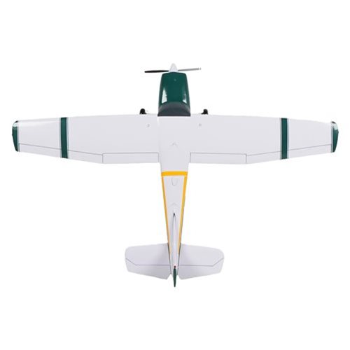 Cessna 180 Custom Aircraft Model - View 8