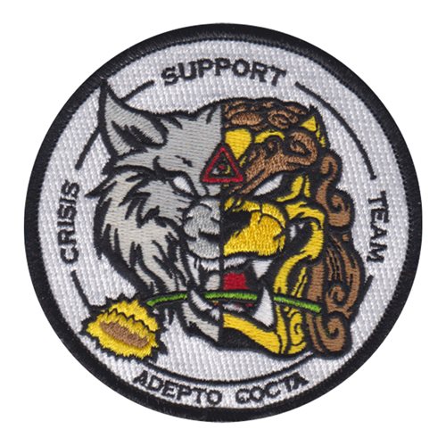 17 IS Crisis Support Team Patch 