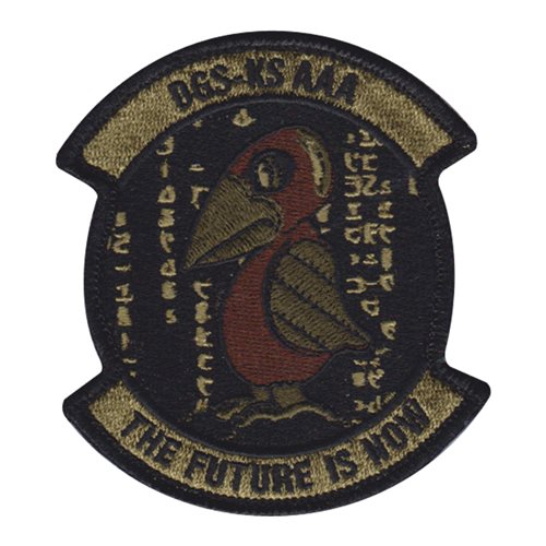 161 IS KANSAS DGS Morale OCP Patch