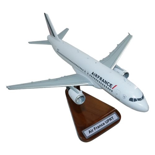 Air France Airbus A320-200 Custom Aircraft Model - View 5