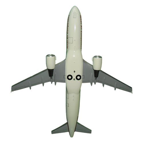 Air Texas Composites A320-200 Custom Aircraft Model - View 7