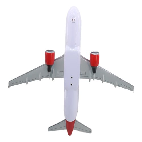 Virgin America A320-200 Custom Aircraft Model - View 7