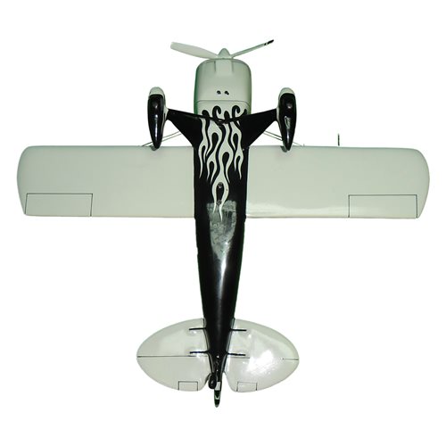 Acro Sport II Custom Aircraft Model - View 7