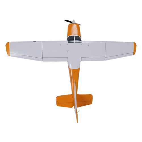 Cessna 172C Custom Aircraft Model - View 6