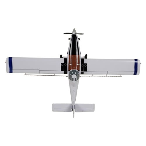 Air Tractor AT-502A XP Custom Aircraft Model - View 6