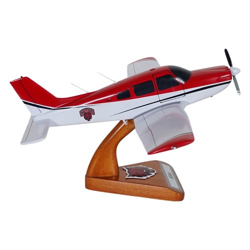 Piper PA-28R-201 Arrow III Custom Aircraft Model - View 5