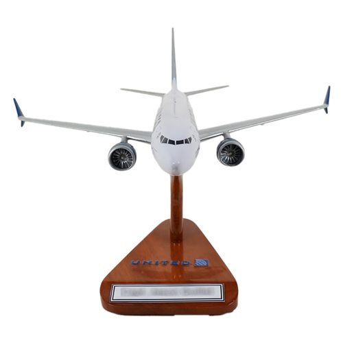 United Airlines B737-Max 9 Custom Aircraft Model - View 3