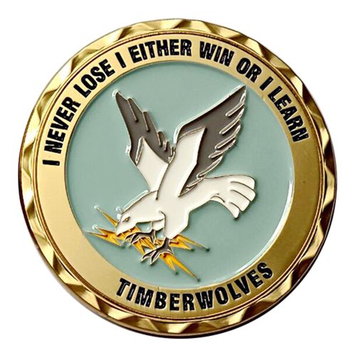 673 SFS Commander Challenge Coin - View 2