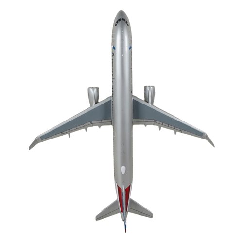 American Airlines A321-200 Custom Aircraft Model - View 7