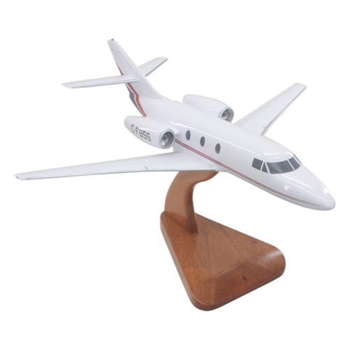 Falcon 10 Custom Aircraft Model - View 6