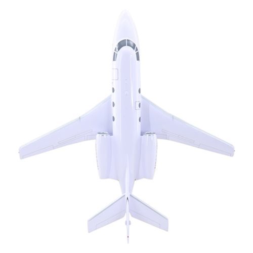 Falcon 10 Custom Aircraft Model - View 7