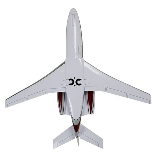 Falcon 10 Custom Aircraft Model - View 8