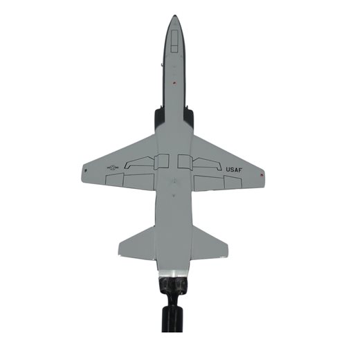 469 FTS T-38 Talon Briefing Stick - View 6