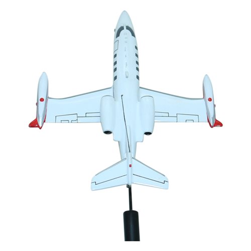 Learjet 35 Briefing Stick - View 5