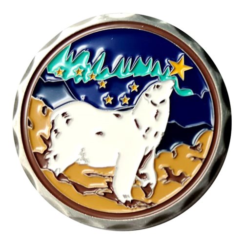 373 ISRG Challenge Coin - View 2