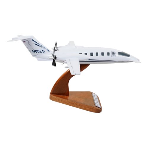 Piaggio P180 Custom Airplane Model  - View 4