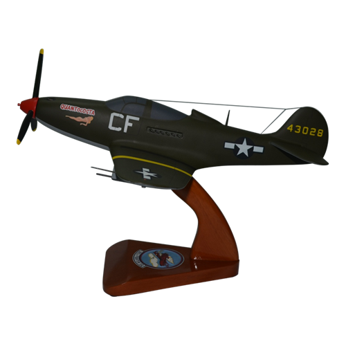 Design Your Own P-39 Custom Airplane Model  - View 3