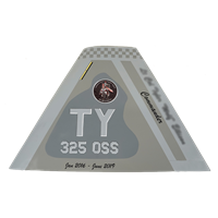 325 OSS F-22A Raptor Custom Airplane Tail Flash