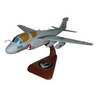 VMAQ-133 EA-6B Custom Airplane Model 