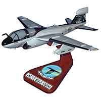 VAQ-135 EA-6B Custom Airplane Model 