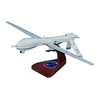 17 RS MQ-1 Custom Airplane Model 