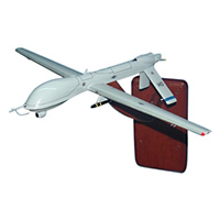 6 RS MQ-1 Custom Airplane Model 