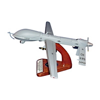 11 RS MQ-1 Custom Airplane Model 