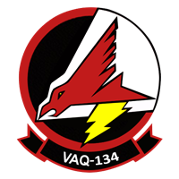 VAQ-134 EA-6B Custom Airplane Model 