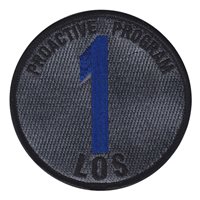 Proactive Criminal Alien Program Team 1 Patch 