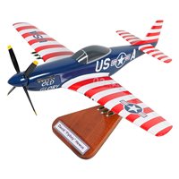 P-51 Mustang Custom Model 