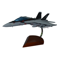 VAQ-141 EA-18G Custom Airplane Model 