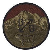 B and B OCP Patch