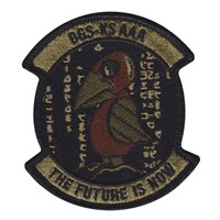 161 IS KANSAS DGS Morale OCP Patch