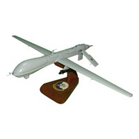 22 RS MQ-1 Custom Airplane Model 