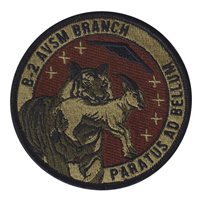 AFLCMC B-2 AVSM Branch Tiger OCP Patch