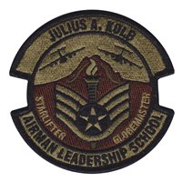 62 AW FSDA Airman Leadership School OCP Patch