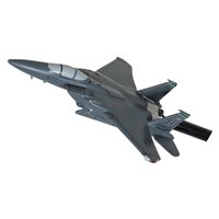 335 FS F-15E Strike Eagle Briefing Stick