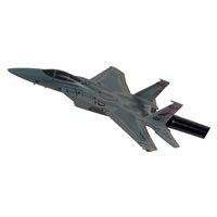 123 FS F-15C Eagle Briefing Stick